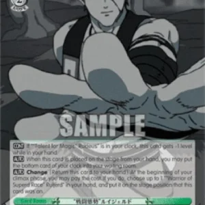 Weiss Schwarz MTI/S83 "Battle Stance" Ruijerd (V.2 - Super Rare)