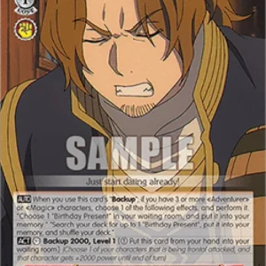 Weiss Schwarz SFN/S108 A Priest's Job, Sein (V.2 - Super Rare)
