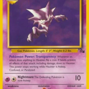 Pokemon Haunter (FO 21)