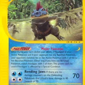 Pokemon Feraligatr (EX 47)