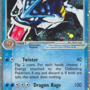 Pokemon Gyarados ex (FL 109)