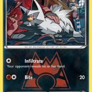 Pokemon Team Magma's Poochyena (DCR 17)