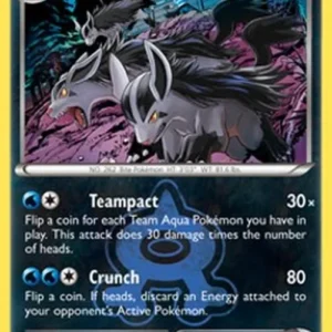 Pokemon Team Aqua's Mightyena (DCR 18)