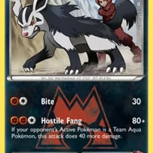 Pokemon Team Magma's Mightyena (DCR 19)