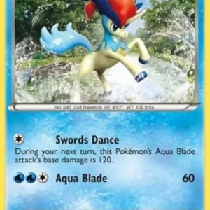 Pokemon Keldeo (BW 60)