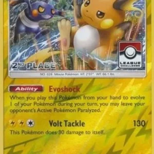 Pokemon Raichu (BUS 41)