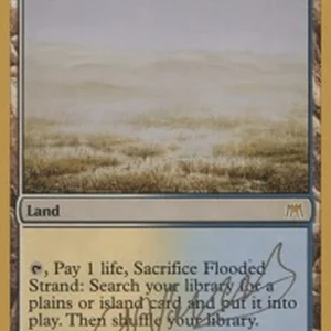 Magic: The Gathering Flooded Strand