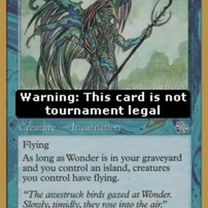 Magic: The Gathering Wonder