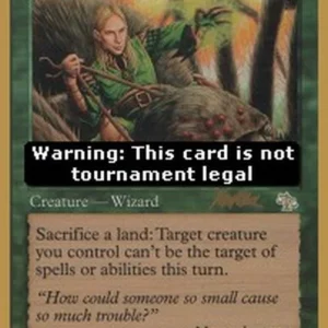 Magic: The Gathering Sylvan Safekeeper