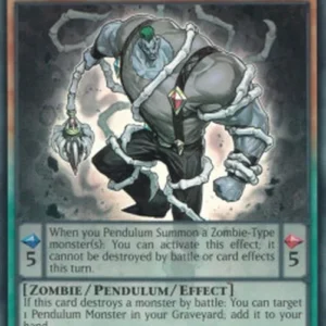 Yu-Gi-Oh! WSUP P.M. Captor