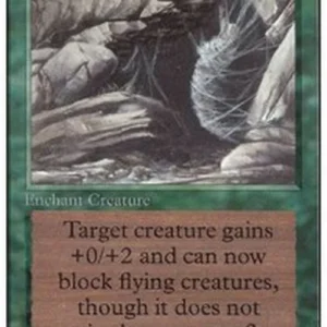 Magic: The Gathering Web