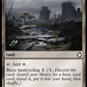 Magic: The Gathering Ash Barrens