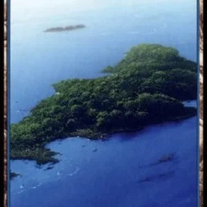 Magic: The Gathering Island