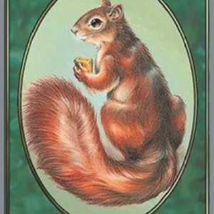 Magic: The Gathering Squirrel