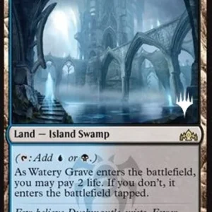 Magic: The Gathering Watery Grave