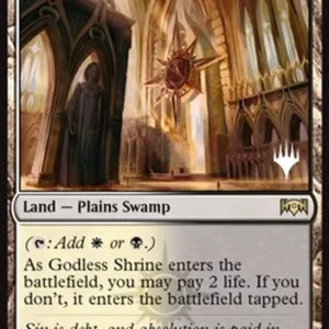 Magic: The Gathering Godless Shrine