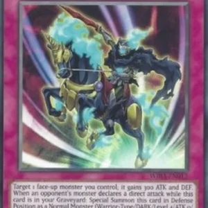 Yu-Gi-Oh! WIRA The Phantom Knights of Shadow Veil