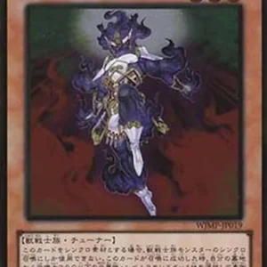 Yu-Gi-Oh! WJMP Brotherhood of the Fire Fist - Spirit