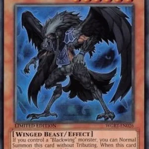 Yu-Gi-Oh! WGRT Blackwing - Elphin the Raven