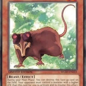 Yu-Gi-Oh! WGRT Playful Possum