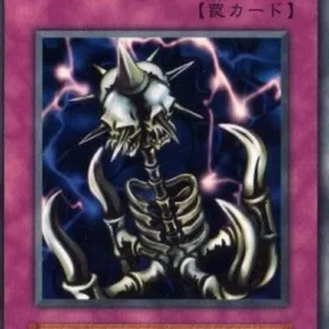 Yu-Gi-Oh! V5 Anti Raigeki