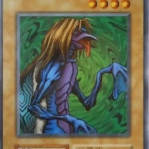 Yu-Gi-Oh! V5 Hyosube