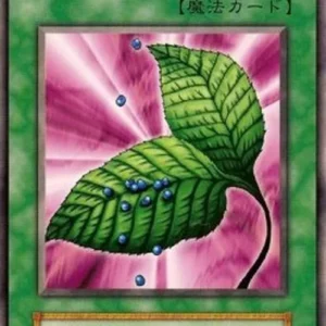 Yu-Gi-Oh! V2 Goblin's Secret Remedy