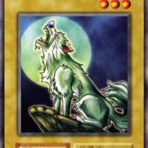 Yu-Gi-Oh! V1 Silver Fang