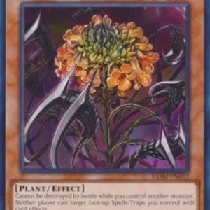 Yu-Gi-Oh! VASM Ibicella Lutea