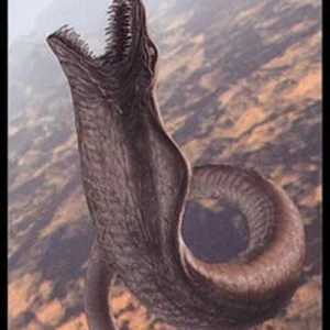 Magic: The Gathering Wurm Token (Green 6/6)