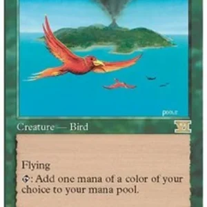 Magic: The Gathering Birds of Paradise