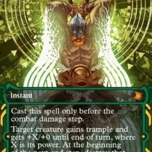 Magic: The Gathering Berserk (V.1)