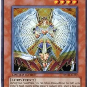 Yu-Gi-Oh! TWED Honest