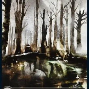 Magic: The Gathering Swamp (V.1)