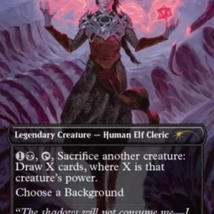 Magic: The Gathering Shadowheart, Dark Justiciar