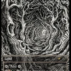 Magic: The Gathering Kessig Wolf Run