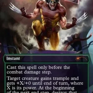 Magic: The Gathering Berserk