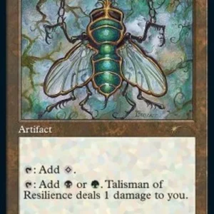 Magic: The Gathering Talisman of Resilience (V.2)