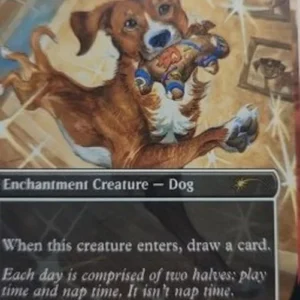 Magic: The Gathering Spirited Companion