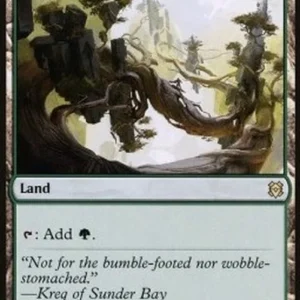 Magic: The Gathering Branchloft Pathway // Boulderloft Pathway