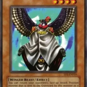 Yu-Gi-Oh! TP5 Winged Sage Falcos