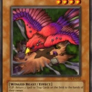 Yu-Gi-Oh! TP5 Tornado Bird
