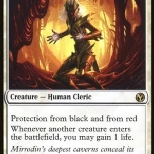 Magic: The Gathering Auriok Champion