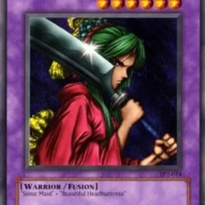 Yu-Gi-Oh! TP2 Warrior of Tradition