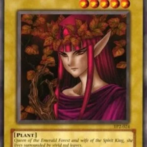 Yu-Gi-Oh! TP2 Queen of Autumn Leaves