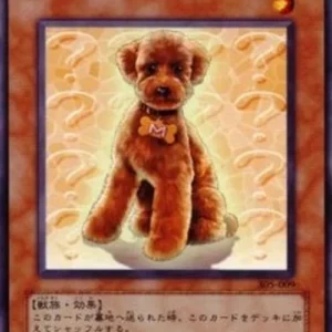 Yu-Gi-Oh! 305 Outstanding Dog Marron