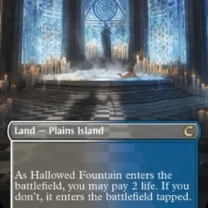 Magic: The Gathering Hallowed Fountain