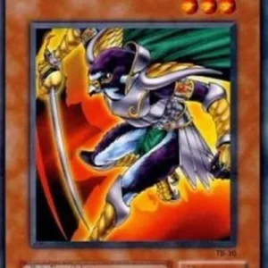 Yu-Gi-Oh! TB Hayabusa Knight