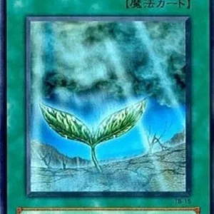 Yu-Gi-Oh! TB Rain of Mercy