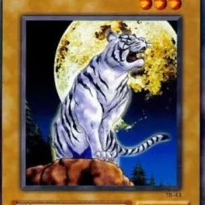 Yu-Gi-Oh! TB The All-Seeing White Tiger